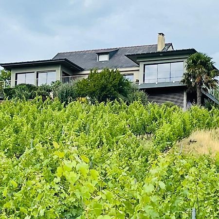 Maison Des Coteaux Blancs Chaudefonds-sur-Layon Dış mekan fotoğraf