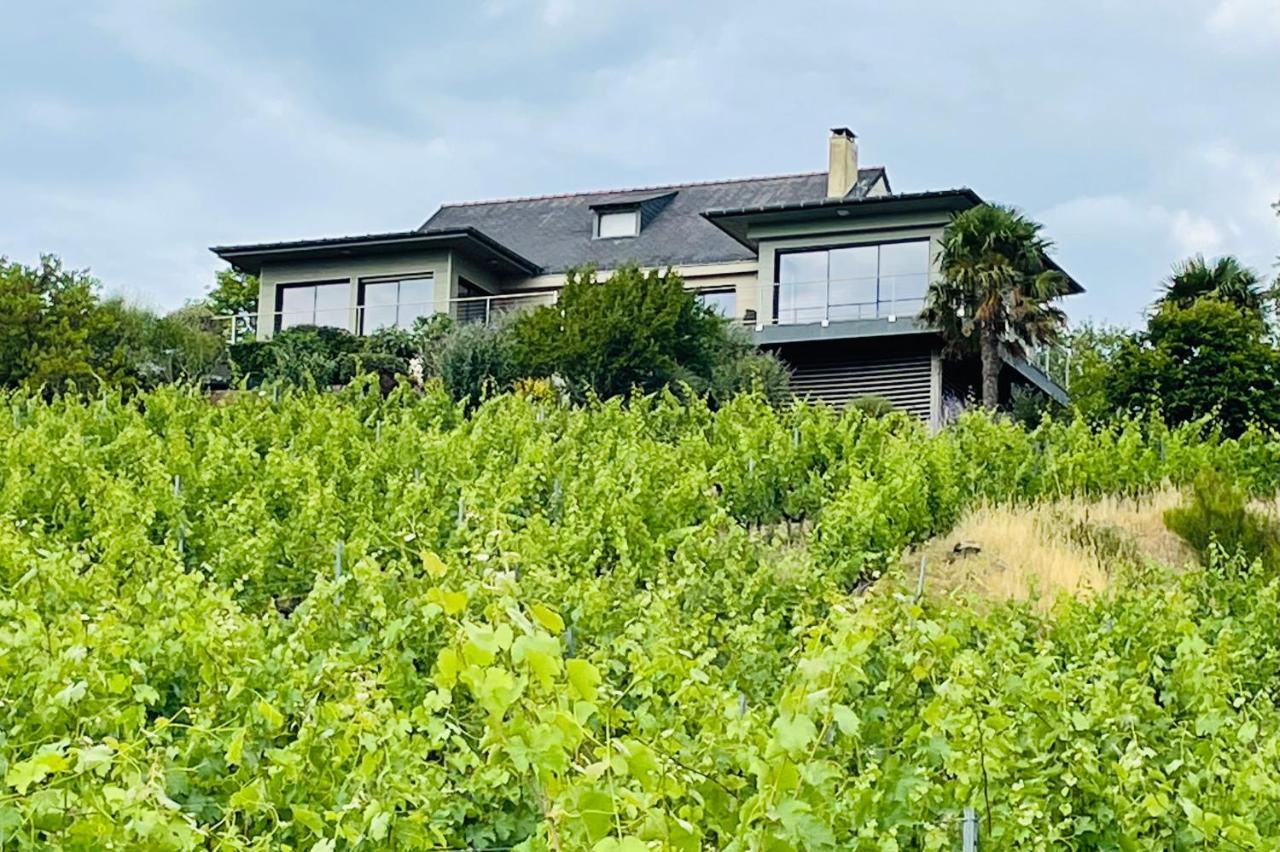 Maison Des Coteaux Blancs Chaudefonds-sur-Layon Dış mekan fotoğraf