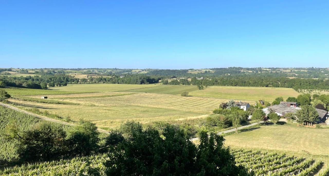 Maison Des Coteaux Blancs Chaudefonds-sur-Layon Dış mekan fotoğraf