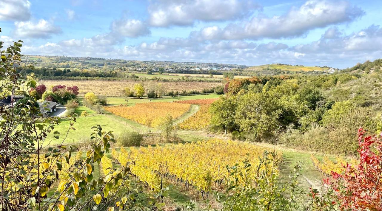 Maison Des Coteaux Blancs Chaudefonds-sur-Layon Dış mekan fotoğraf