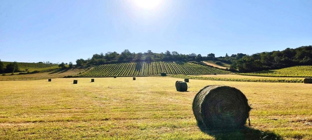 Maison Des Coteaux Blancs Chaudefonds-sur-Layon Dış mekan fotoğraf