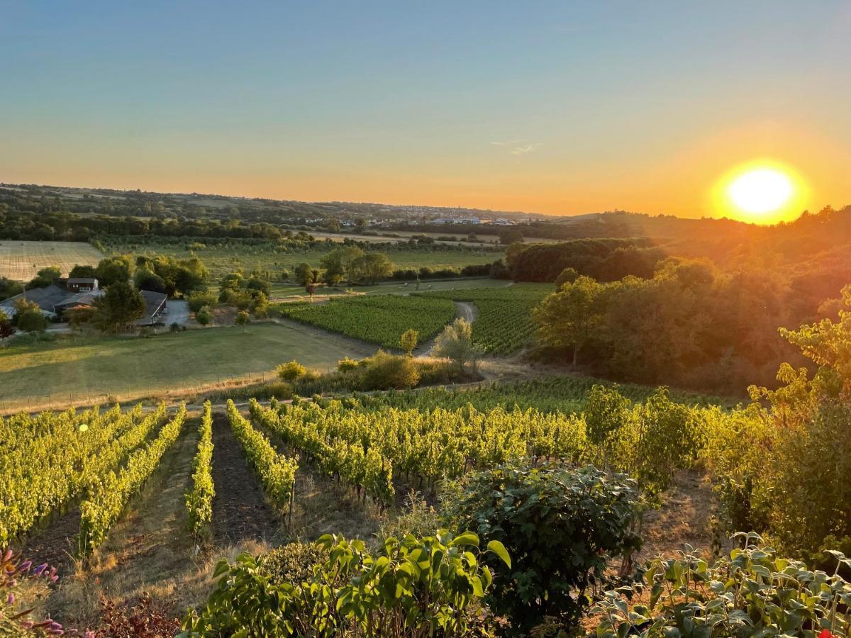 Maison Des Coteaux Blancs Chaudefonds-sur-Layon Dış mekan fotoğraf