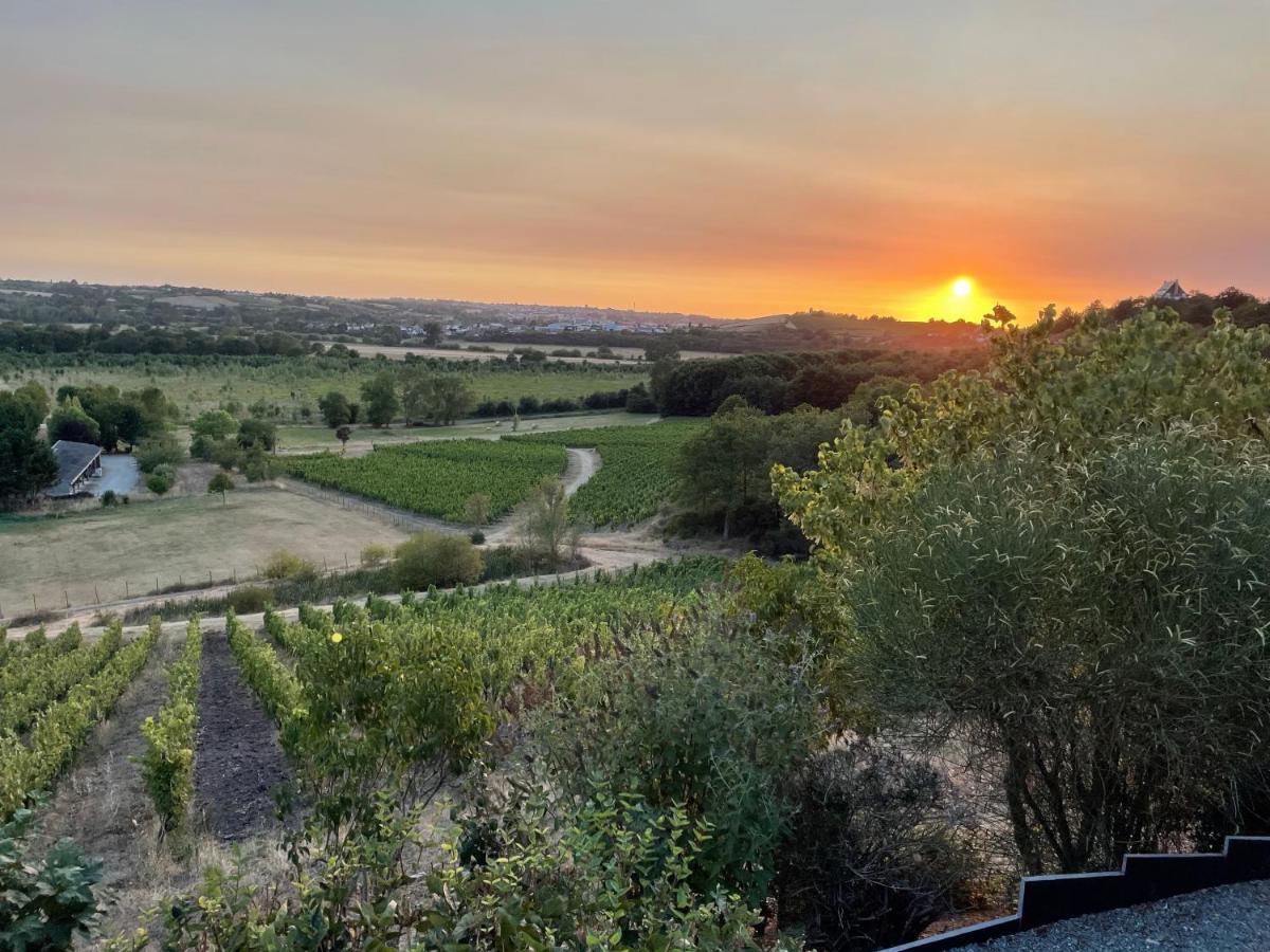 Maison Des Coteaux Blancs Chaudefonds-sur-Layon Dış mekan fotoğraf
